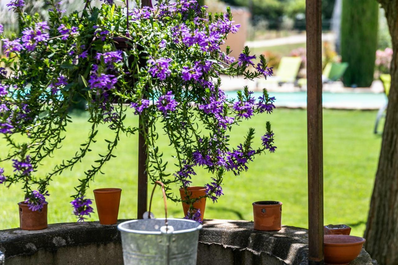 Mas Saint Julien Bed and Breakfast Cavaillon Εξωτερικό φωτογραφία